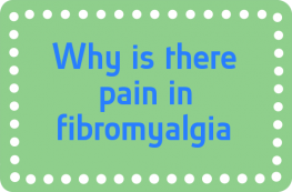 Why is there pain in fibromyalgia?